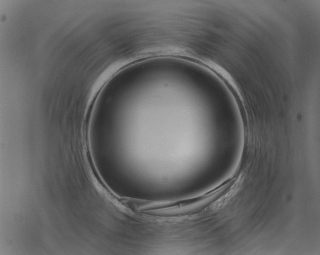 X0000077411389200611032040
