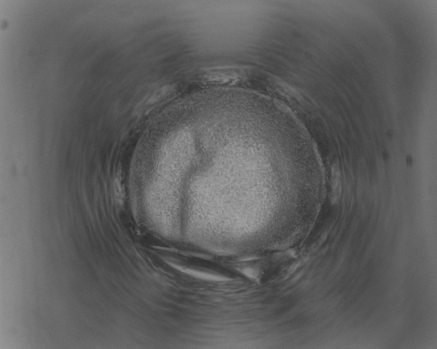 X0000077411394200611032040