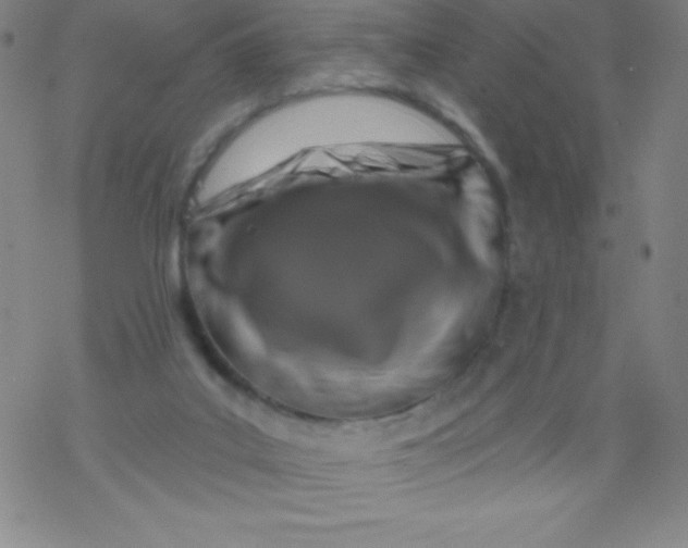 X0000077410019200611101856
