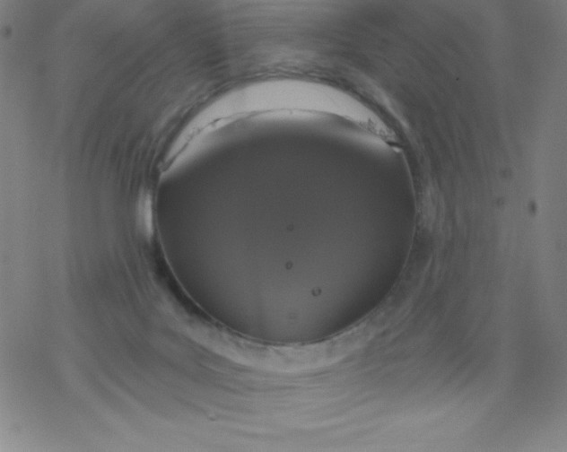 X0000077410027200611101856