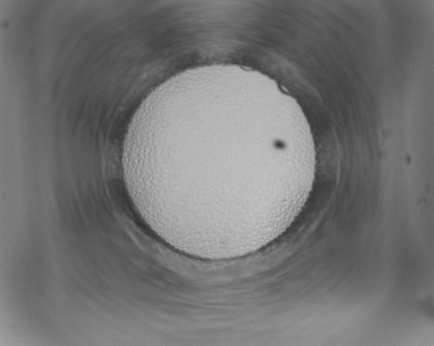 X0000077410038200611101856