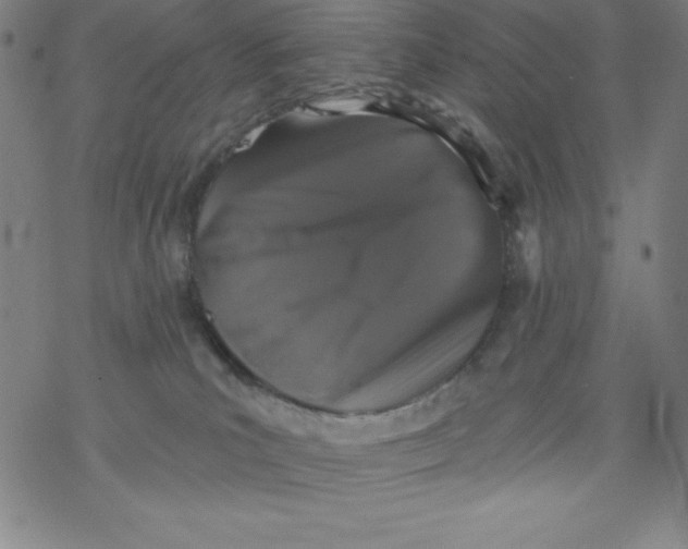 X0000077410039200611101856