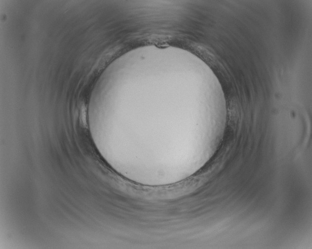 X0000077410046200611101856