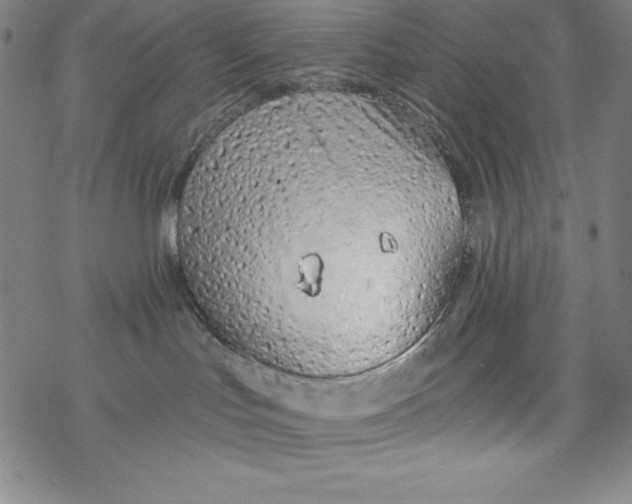X0000077410047200611101856