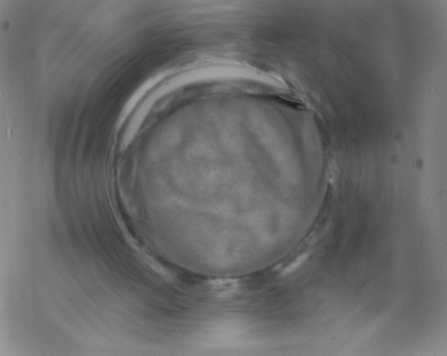 X0000077410052200611101855