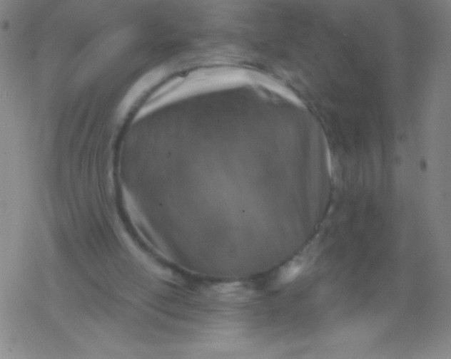 X0000077410054200611101855