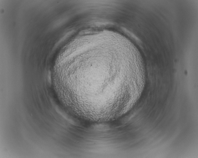 X0000077410067200611101855