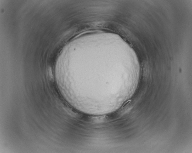 X0000077410089200611101856