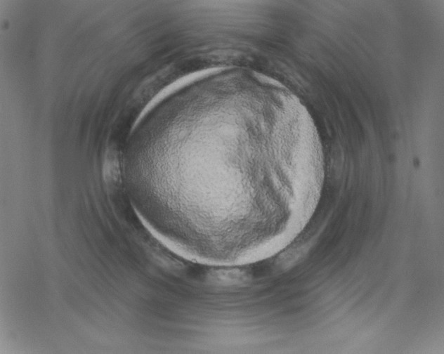 X0000077410137200611101854