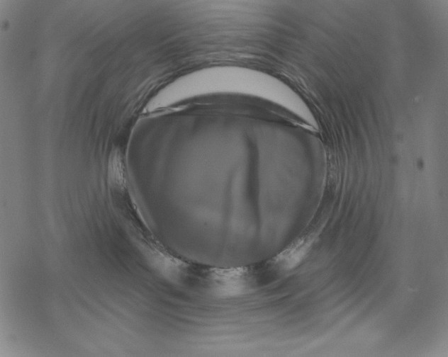 X0000077410143200611101854