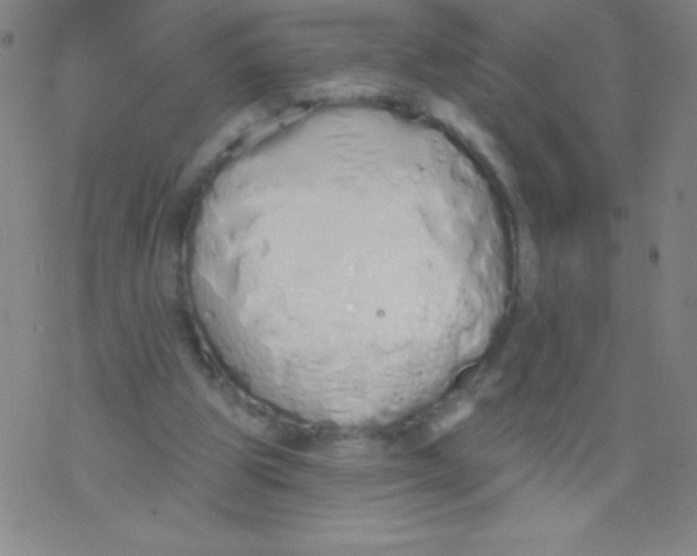 X0000077410153200611101854