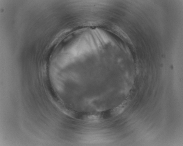 X0000077410163200611101854