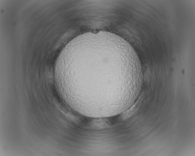 X0000077410179200611101854