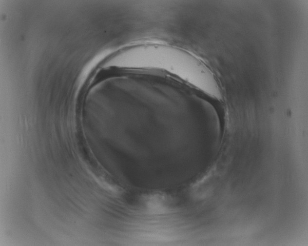 X0000077410200200611101853