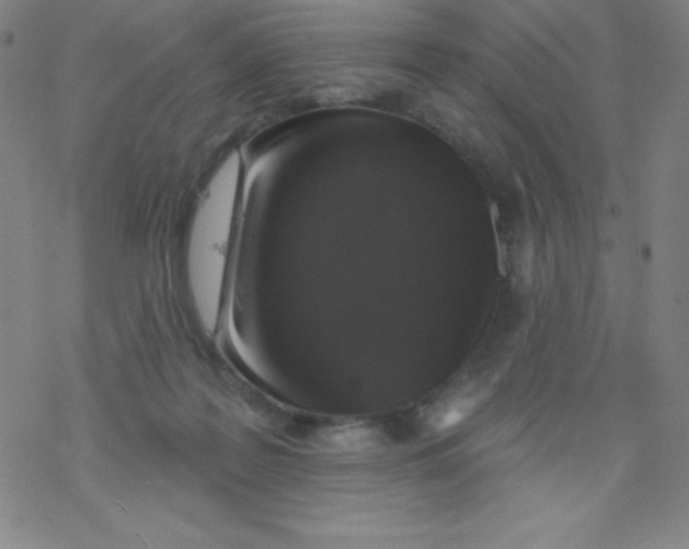 X0000077410219200611101853