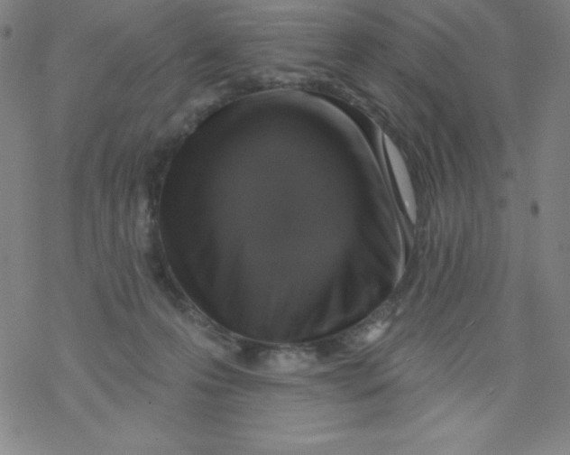 X0000077410223200611101853