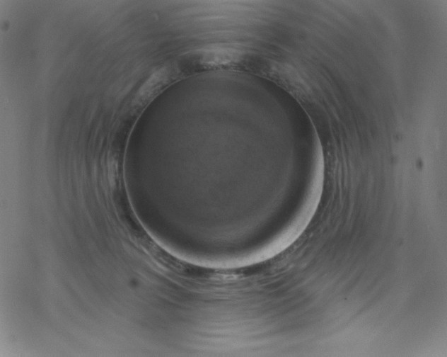 X0000077410227200611101853