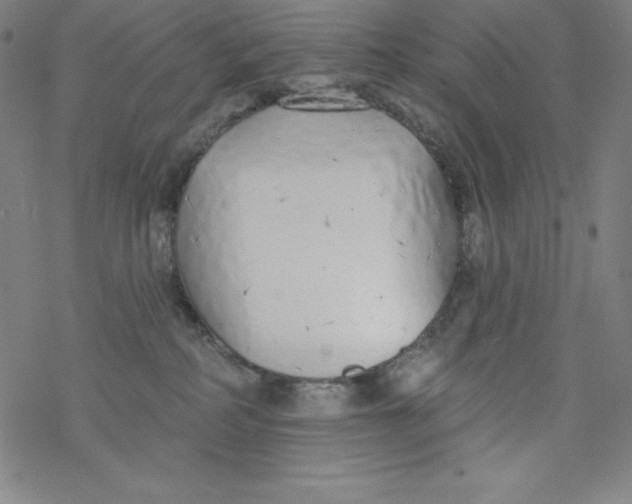 X0000077410234200611101853