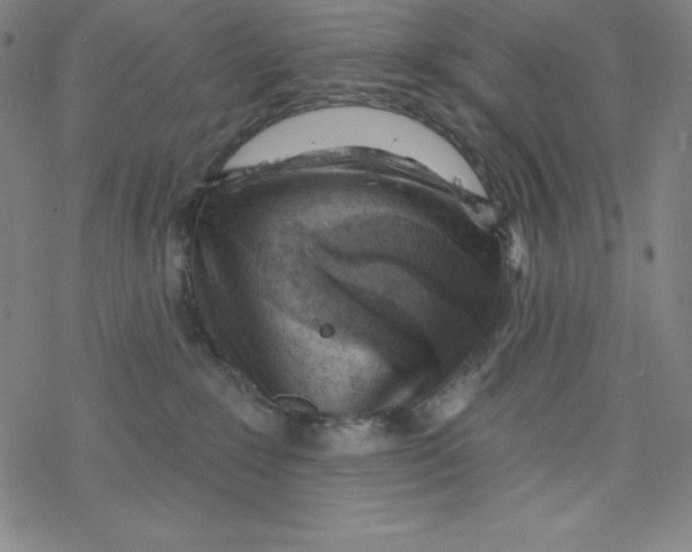 X0000077410235200611101853