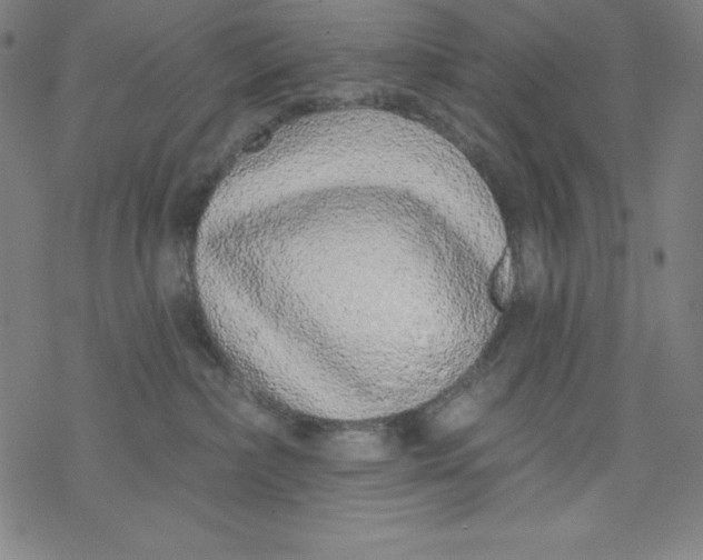 X0000077410236200611101853