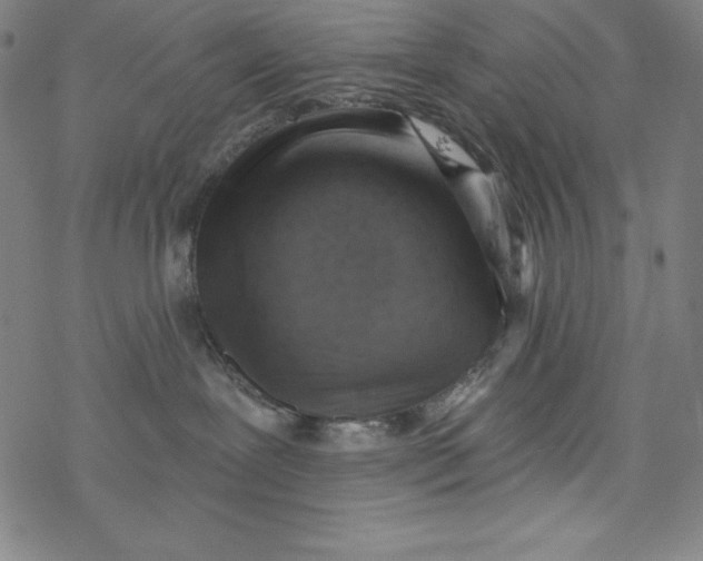 X0000077410239200611101853