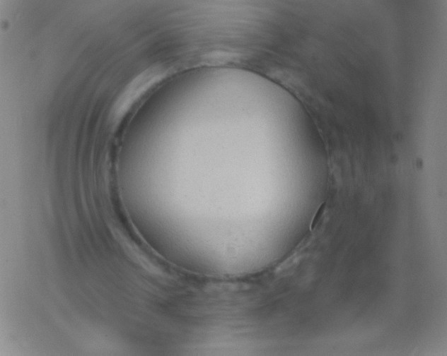 X0000077410242200611101852