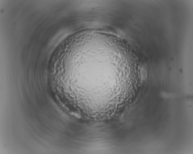 X0000077410243200611101852