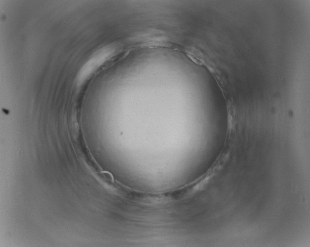 X0000077410245200611101852