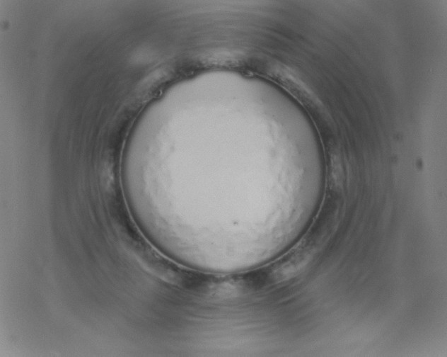 X0000077410259200611101852