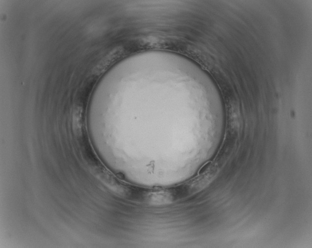 X0000077410275200611101853