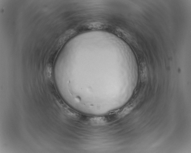 X0000077410281200611101853