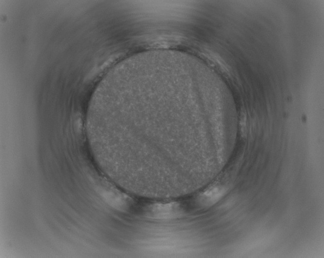X0000077410314200611101852