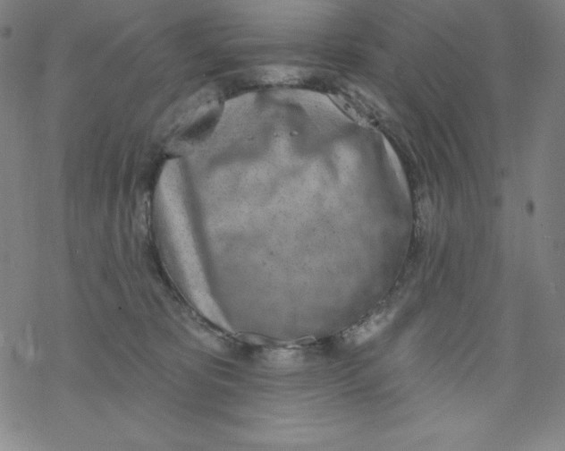 X0000077410325200611101851