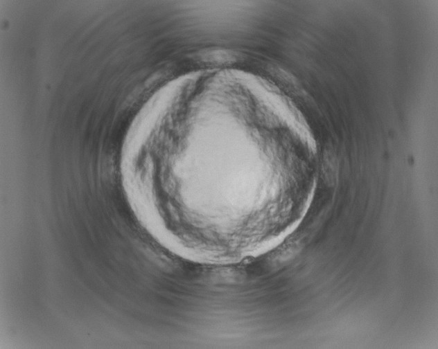 X0000077410330200611101851