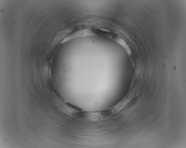 X0000077410333200611101851