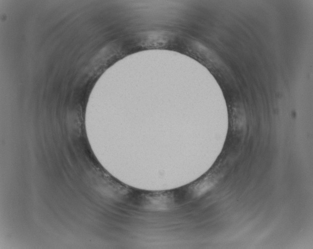 X0000077410370200611101851