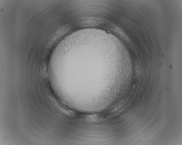 X0000077410411200611101850