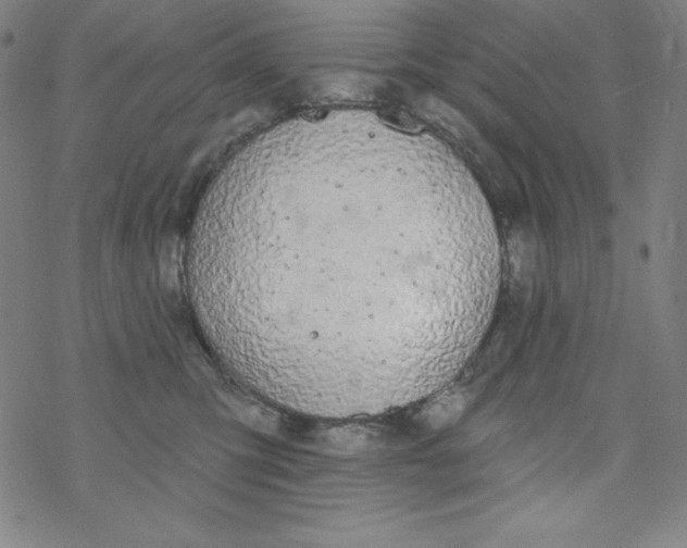 X0000077410423200611101850