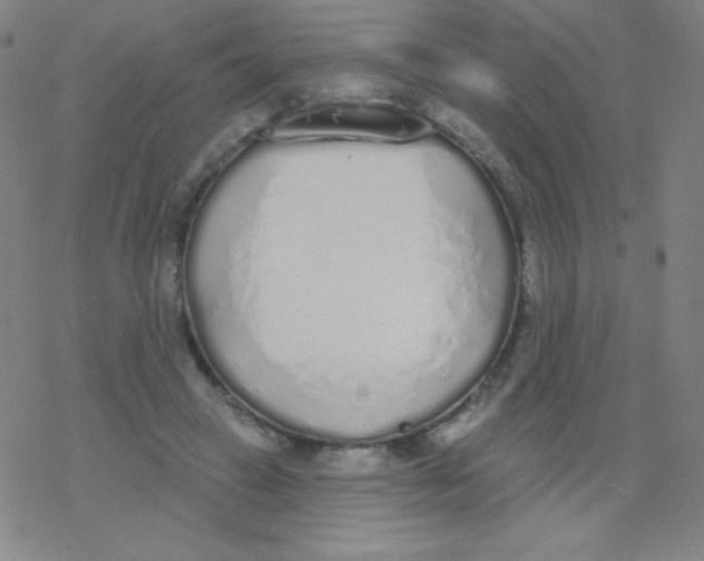 X0000077410449200611101849