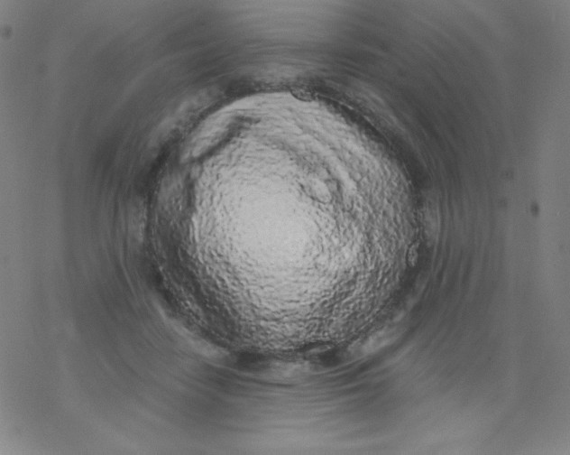 X0000077410458200611101849