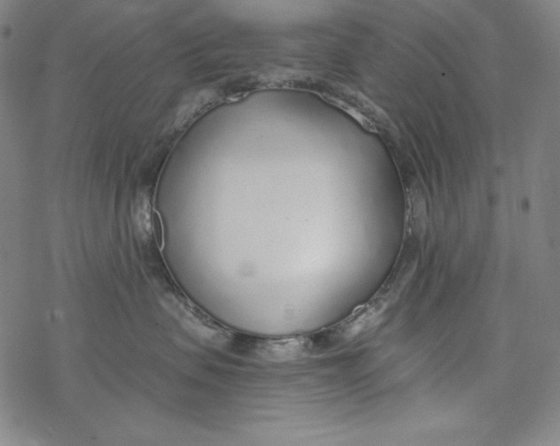 X0000077410479200611101850