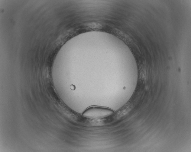 X0000077410518200611101848