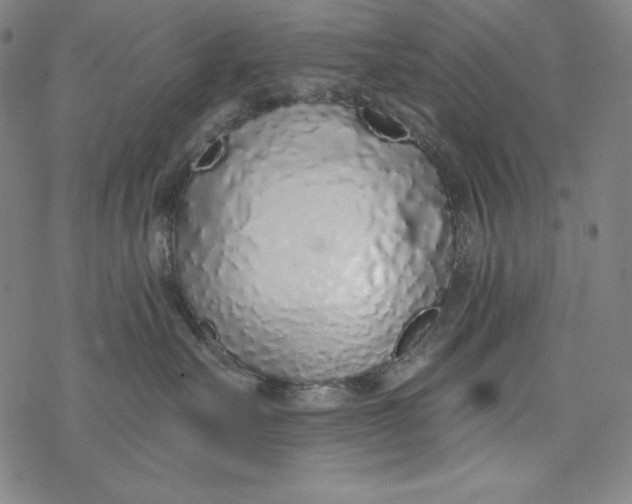 X0000077410527200611101848
