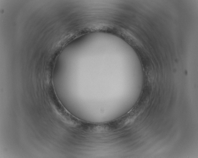 X0000077410546200611101848