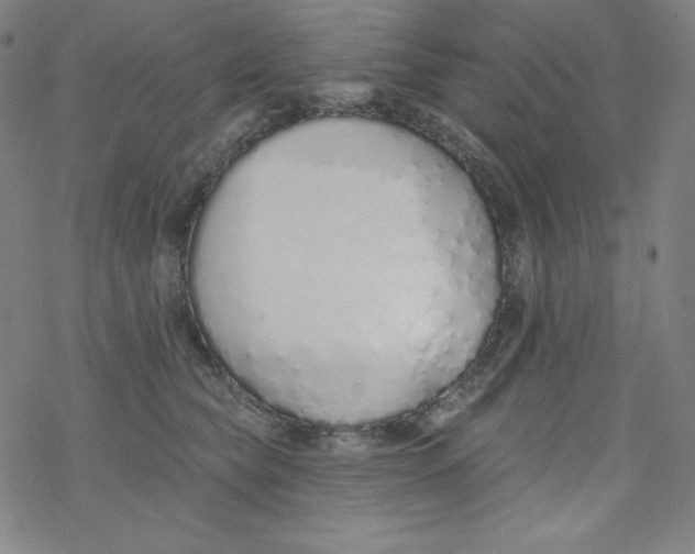X0000077410565200611101848