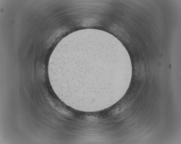 X0000077410592200611101847