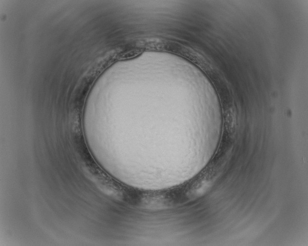 X0000077410602200611101847
