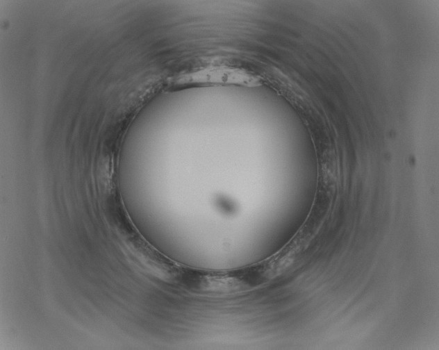 X0000077410605200611101847