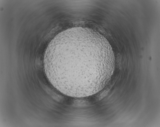 X0000077410614200611101847