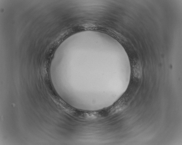 X0000077410618200611101847